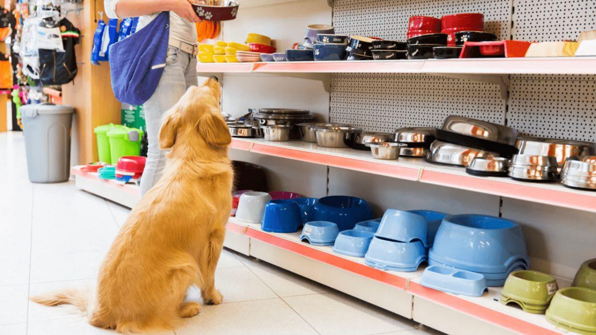 Amazon Prime İndirimlerinde Son Gün: İşte Her Kategorinin En İyi İndirimleri!