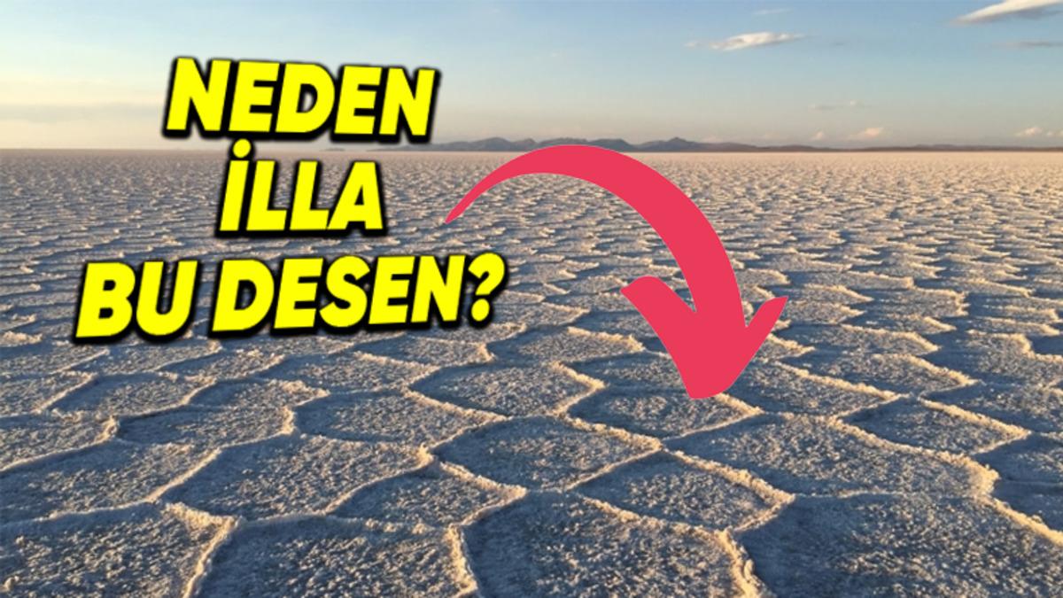 Dünyadaki Bütün Tuz Çölleri Neden Petek Desenlidir?