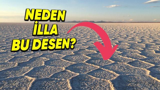 Dünyadaki Bütün Tuz Çölleri Neden Petek Desenlidir?