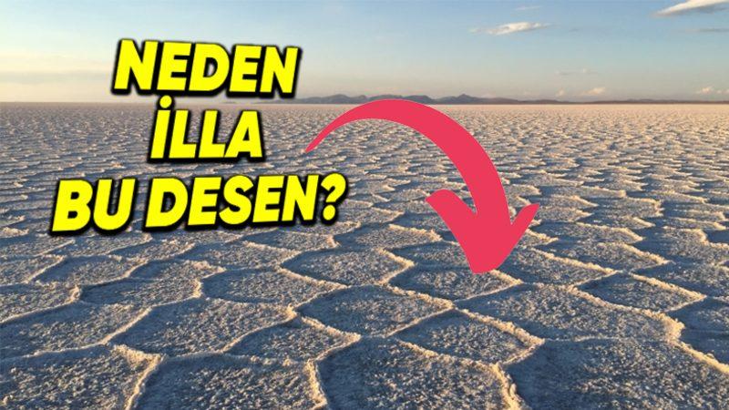 Dünyadaki Bütün Tuz Çölleri Neden Petek Desenlidir?