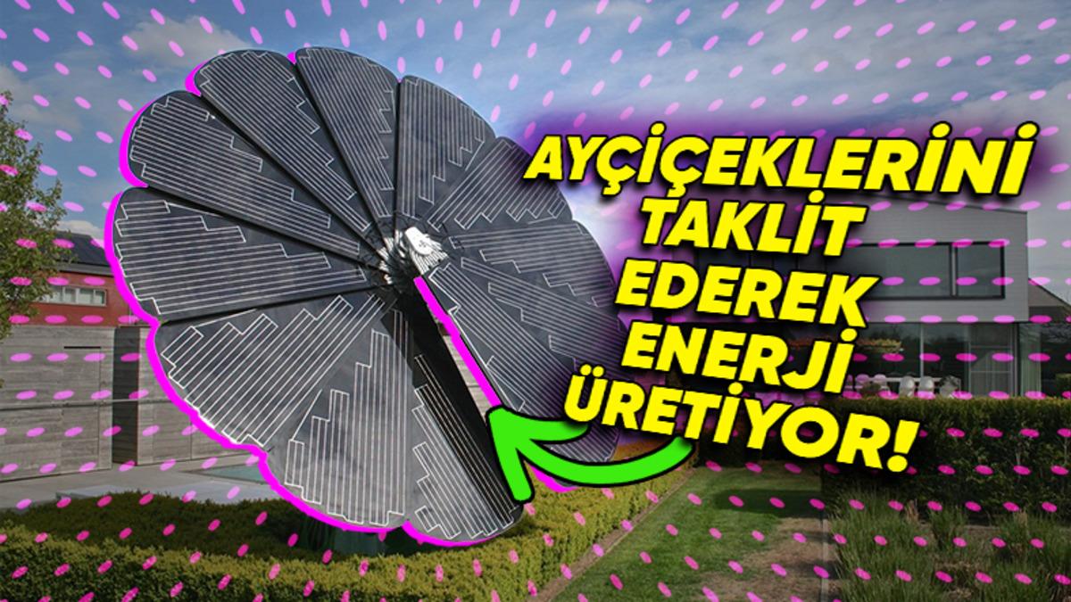 Ay Çiçeklerini Örnek Alan Yüksek Teknolojili Güneş Paneli Smarflower’ın Kendine Hayran Bırakan Teknolojisi (Yeşil Enerji ve Estetiği Birleştirmiş!)