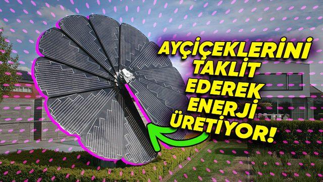 Ay Çiçeklerini Örnek Alan Yüksek Teknolojili Güneş Paneli Smarflower’ın Kendine Hayran Bırakan Teknolojisi (Yeşil Enerji ve Estetiği Birleştirmiş!)