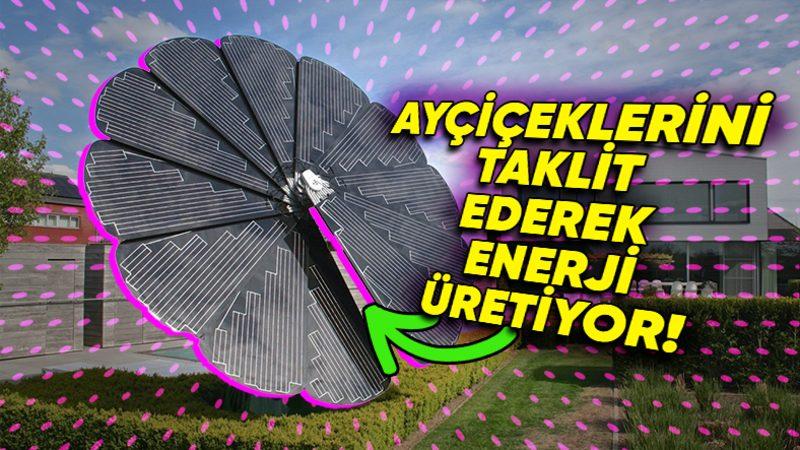 Ay Çiçeklerini Örnek Alan Yüksek Teknolojili Güneş Paneli Smarflower’ın Kendine Hayran Bırakan Teknolojisi (Yeşil Enerji ve Estetiği Birleştirmiş!)