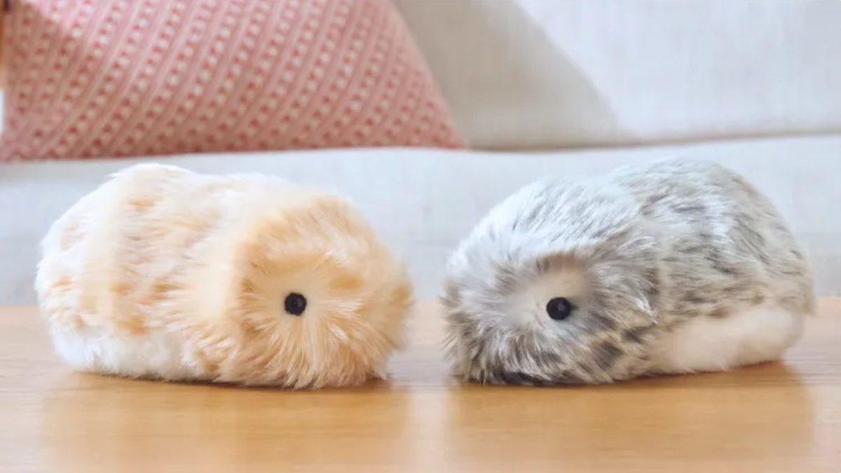 Casio, Yeni Nesil Duygusal Bağ Kurabilen Robotik Evcil Hayvanı Moflin’i Tanıttı! (Yalnızca Bir Oyuncak Değil)