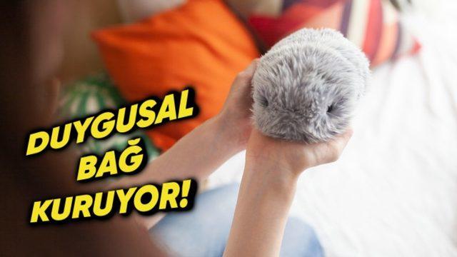 Casio, Yeni Nesil Duygusal Bağ Kurabilen Robotik Evcil Hayvanı Moflin’i Tanıttı! (Yalnızca Bir Oyuncak Değil)