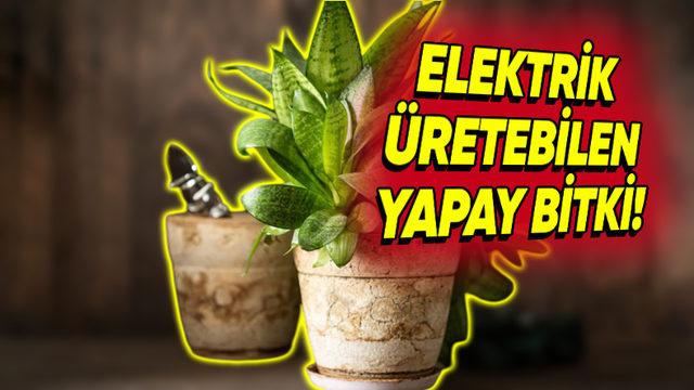 Elektrik Üreten ve Havayı Temizleyebilen Yapay Bitki Geliştirildi (Havasız Ortamlar İçin Birebir)