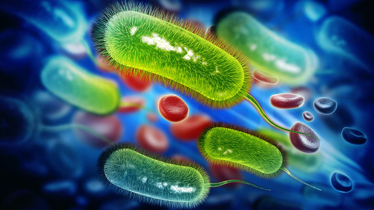 Bakteriler Dünyayı Ele Geçirmeye Karar Verse Kaç Gün İçinde Bunu Başarabilirler? (Herkesle Vedalaşamayabilirsiniz)