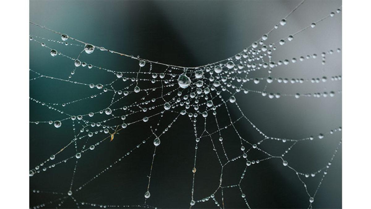 Bilime Göre Kronik Yaraların Tedavisinde Bundan Sonra 