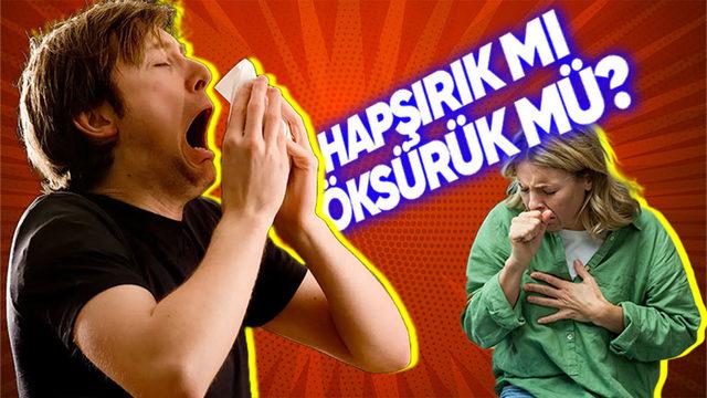 Vücudun Savunma Mekanizmalarından Olan Öksürme ve Hapşırmaya Beyin Nasıl Karar Veriyor? (Öksüreceğimiz Yerde Hapşıramaz mıyız?)