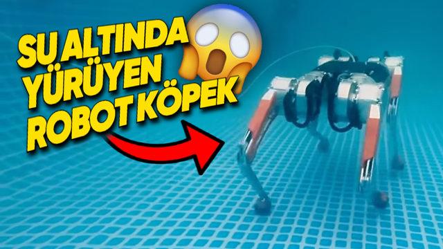 Su Altında Yürüyebilen Robot Köpek: Karşınızda Honey Badger [Video]