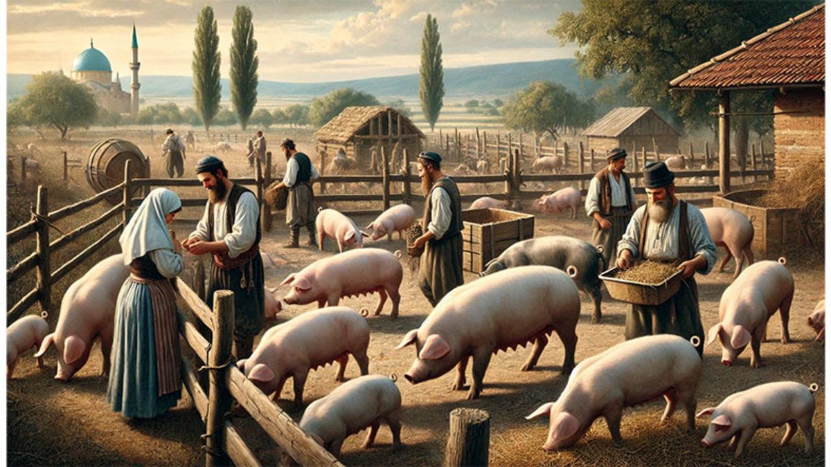 Bir Garip Vergi Daha: Osmanlı Devleti’nde Domuzlardan Neden 