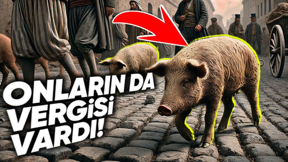 Bir Garip Vergi Daha: Osmanlı Devleti’nde Domuzlardan Neden "Resm-i Hınzır" Adında Vergi Alınıyordu?