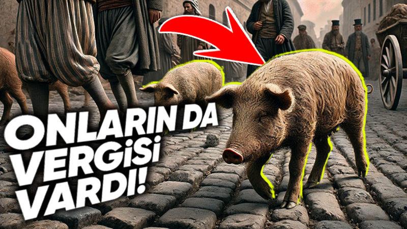 Bir Garip Vergi Daha: Osmanlı Devleti’nde Domuzlardan Neden "Resm-i Hınzır" Adında Vergi Alınıyordu?
