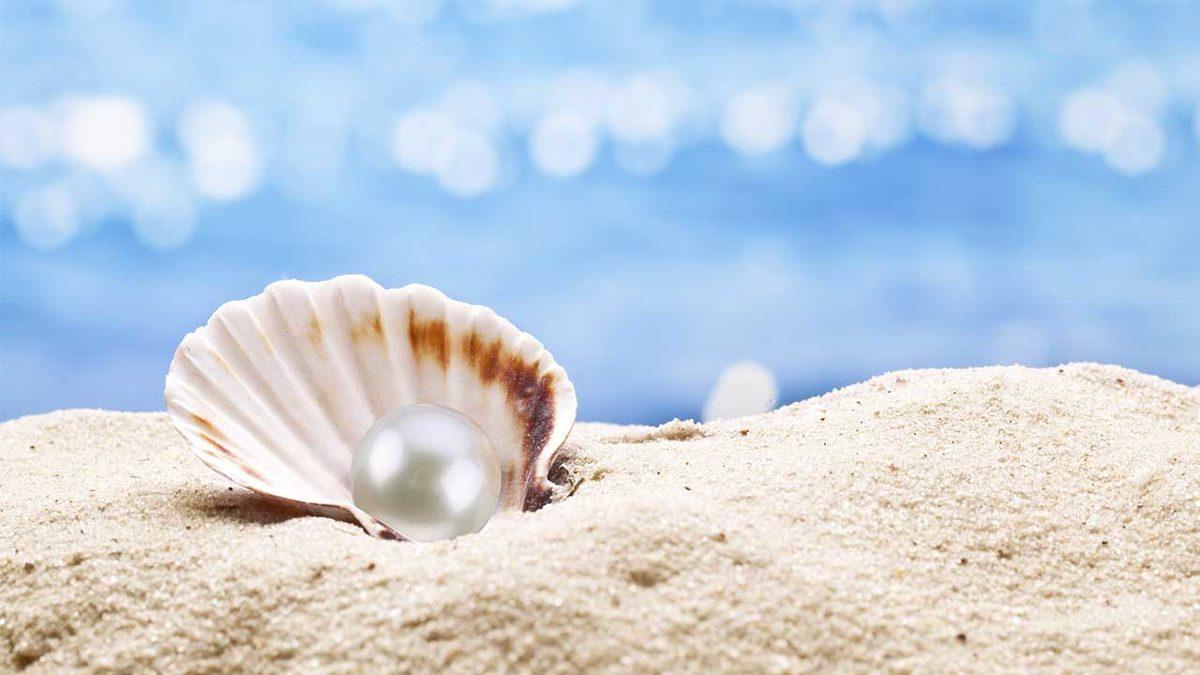 İstiridyenin İçindeki Bu İnci Taneleri Tam Olarak Nasıl Oluşuyor? Bu Kadar Değerli Olmasına Şaşırmamak Gerek...