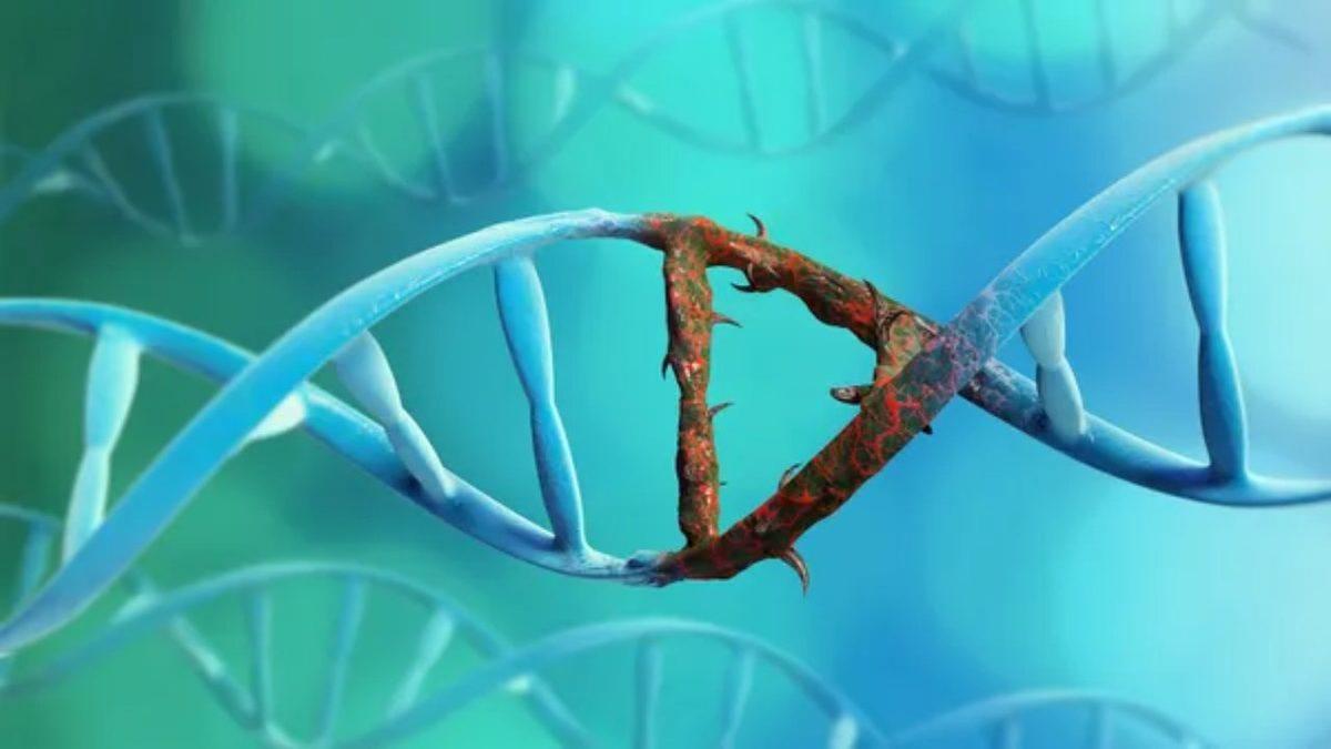 Vücudumuz Gerçekten Her 7 Yılda Bir Kendini Yeniliyor mu, Yoksa Bu Bir Şehir Efsanesi mi?