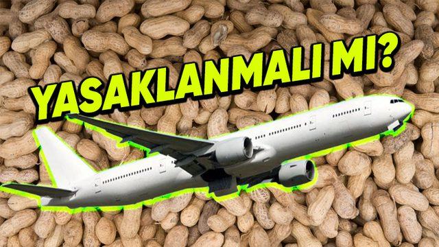 Fındık ve Fıstığa Alerjisi Olan Kişilerin, Uçak Yolculuklarından Olumsuz Etkilediği İddiasının Gerçeklik Payı Var mı?