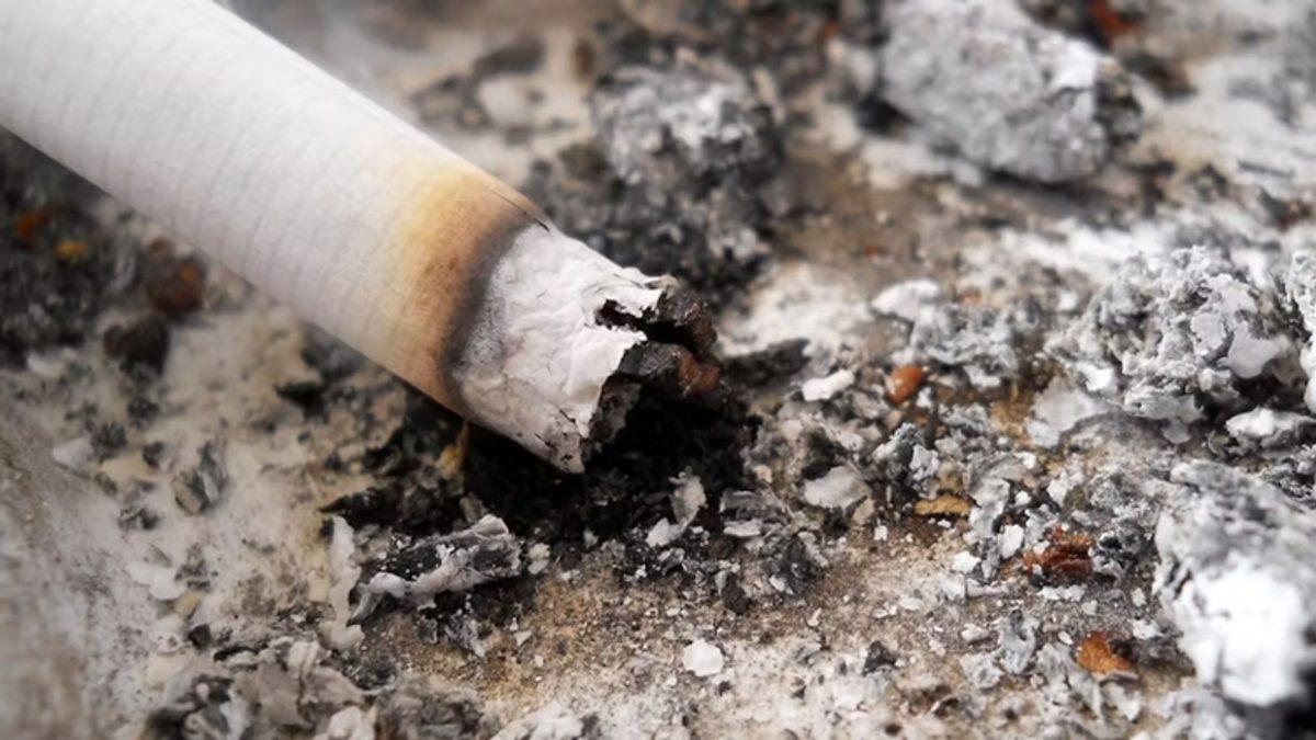 Sigaranın Öldükten Sonra Bile Devam Eden Etkileri Olduğu Ortaya Çıktı