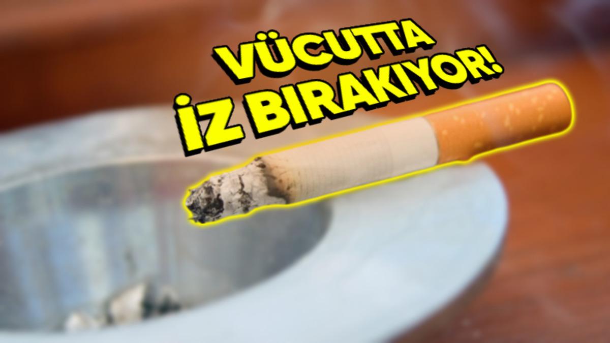 Sigaranın Öldükten Sonra Bile Devam Eden Etkileri Olduğu Ortaya Çıktı