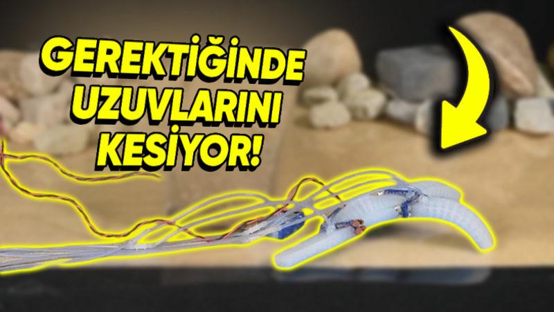 Zor Durumlarda Kendi Uzuvlarını Kesebilen Robot Üretildi (Geleceğin Kaçış Ustaları Olacaklar...)