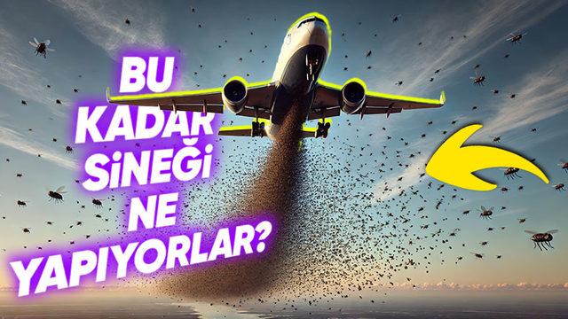 Amerika’nın Her Hafta Panama’ya Uçakla Milyonlarca Sinek Bırakmasının Sebebini Öğrenince Biraz Şaşırabilirsiniz