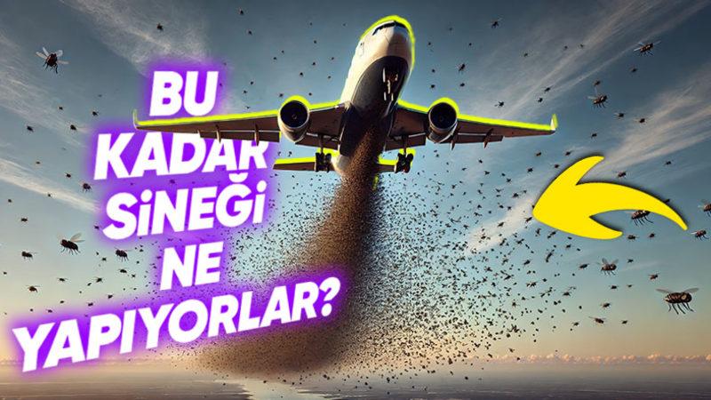 Amerika’nın Her Hafta Panama’ya Uçakla Milyonlarca Sinek Bırakmasının Sebebini Öğrenince Biraz Şaşırabilirsiniz
