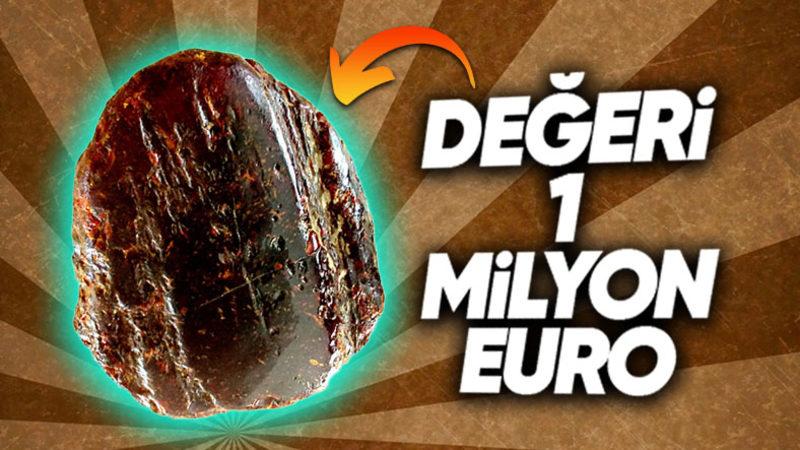 Senelerce Kapı Tutucu Olarak Kullanılan Taşın Değeri Nasıl 1 Milyon Euro Çıktı? (Ulusal Hazine İlan Edilmiş)