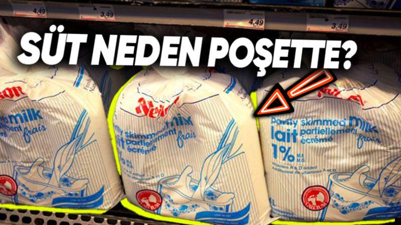 Kanada Marketlerinde Sütler Neden Kutularda Değil de Plastik Poşetlerde Satılıyor?