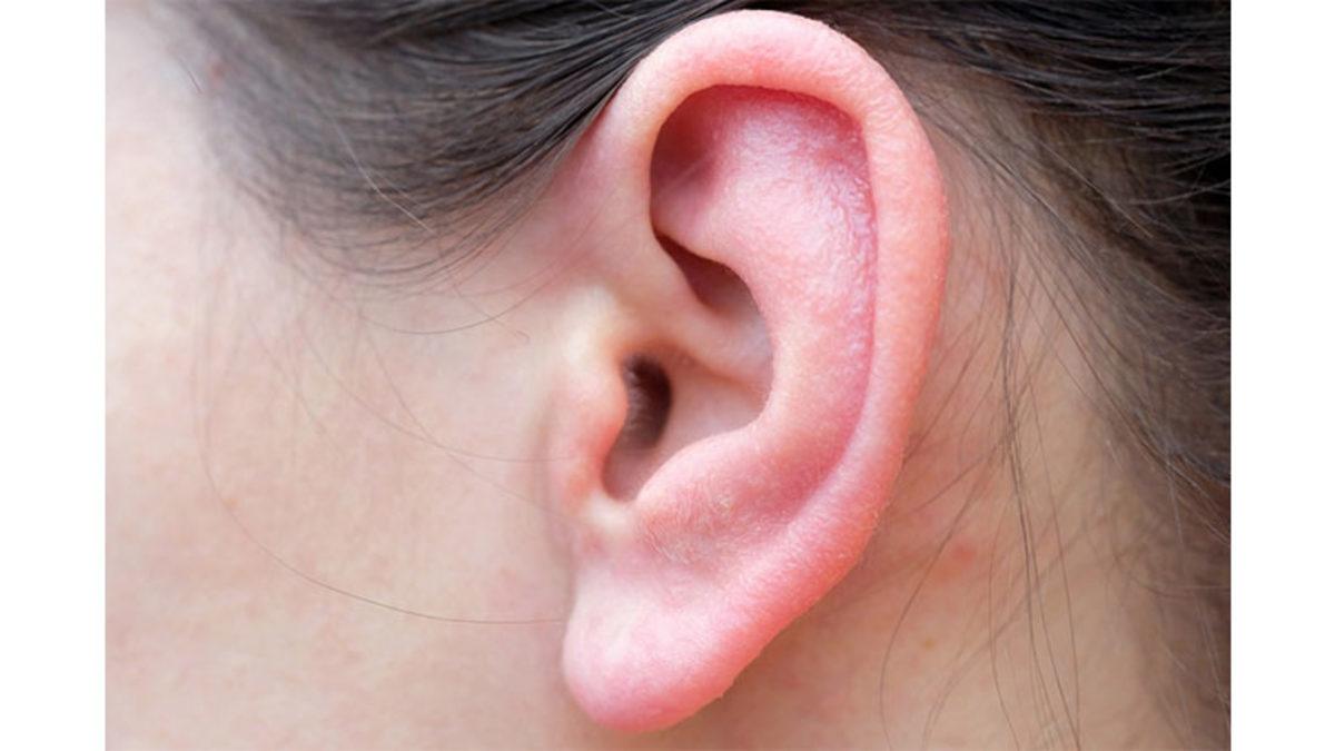 Kulağımıza Kaçan Su Kulağımızın Neresine Gidiyor da Bu Suyu Çıkartmak Bu Kadar Zorlayıcı Oluyor?