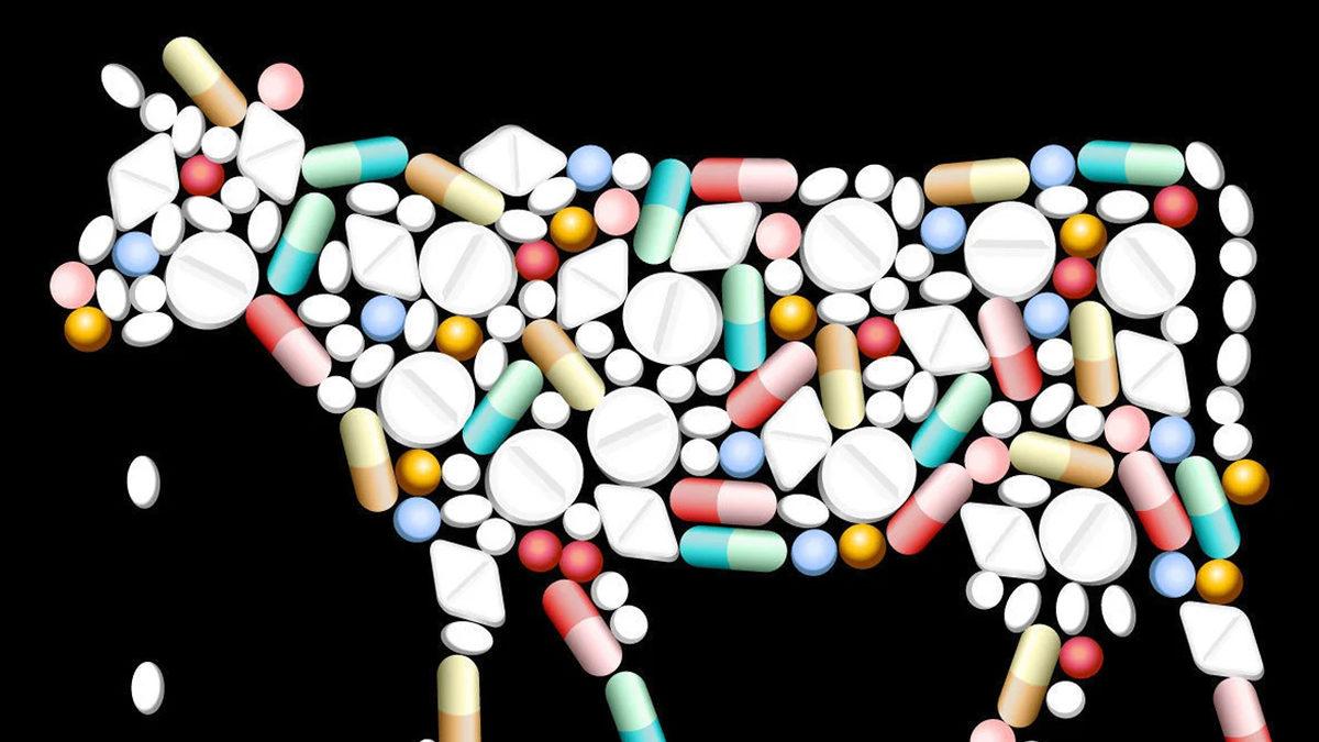 Süt ve Süt Ürünleri ile Antibiyotik Kullanımı Neden Tavsiye Edilmiyor? Kaç Saat Arayla İçmek Gerek?