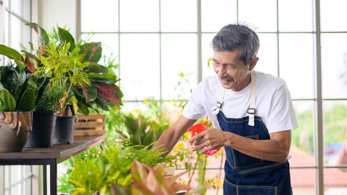 Bitkilerle Konuşmak, Onların Gerçekten Daha Hızlı Büyümesine Katkı Sağlar mı? Yoksa Boşuna mı Dil Döküyoruz?