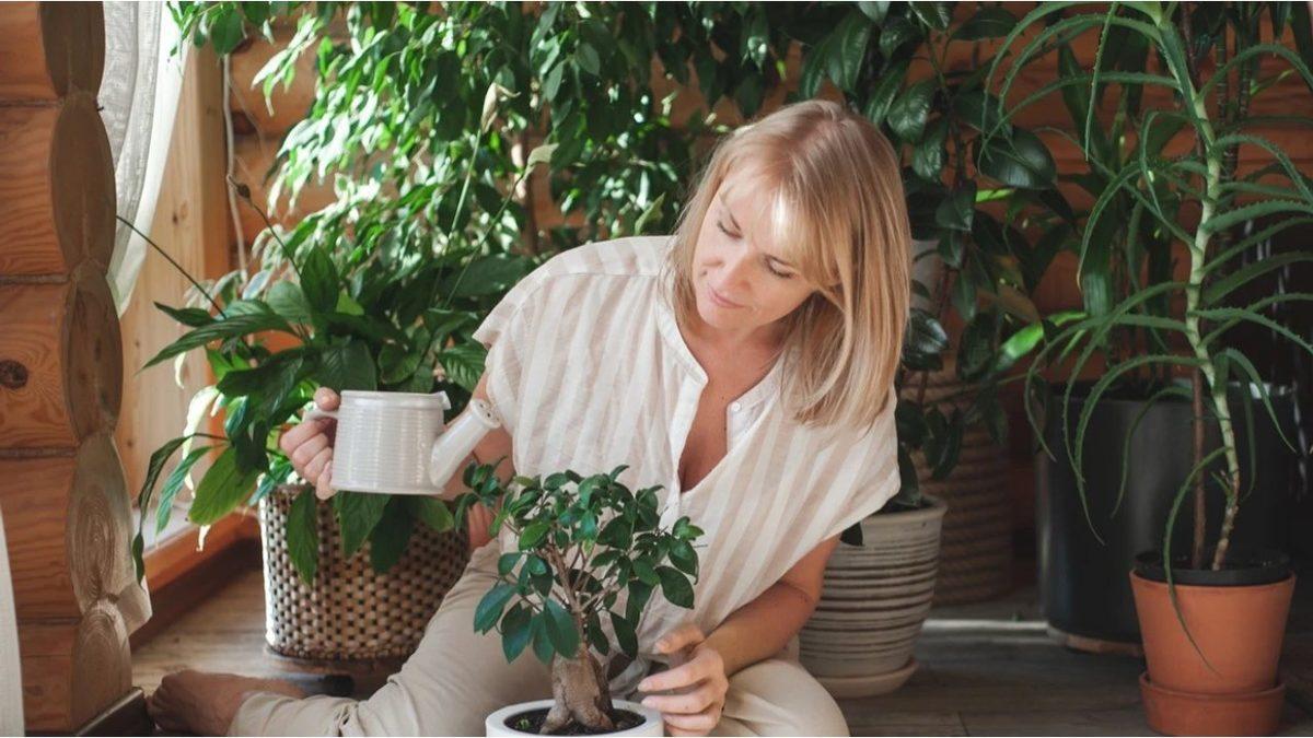 Bitkilerle Konuşmak, Onların Gerçekten Daha Hızlı Büyümesine Katkı Sağlar mı? Yoksa Boşuna mı Dil Döküyoruz?