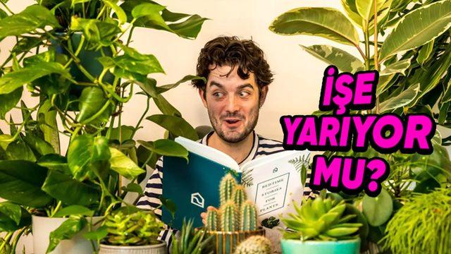 Bitkilerle Konuşmak, Onların Gerçekten Daha Hızlı Büyümesine Katkı Sağlar mı? Yoksa Boşuna mı Dil Döküyoruz?