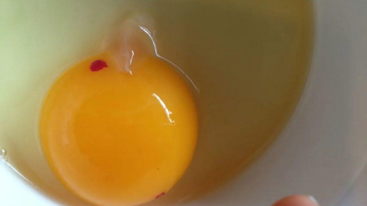 Yumurtayı Kırar Kırmaz Gözünüze Çarpan Bu Kırmızı veya Kahverengi Lekeler Aslında Neyin Nesi?