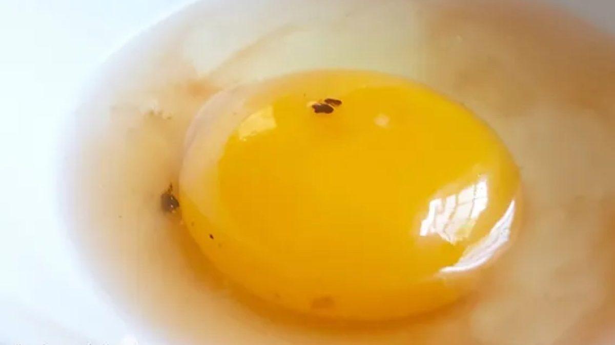 Yumurtayı Kırar Kırmaz Gözünüze Çarpan Bu Kırmızı veya Kahverengi Lekeler Aslında Neyin Nesi?