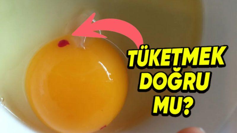 Yumurtayı Kırar Kırmaz Gözünüze Çarpan Bu Kırmızı veya Kahverengi Lekeler Aslında Neyin Nesi?