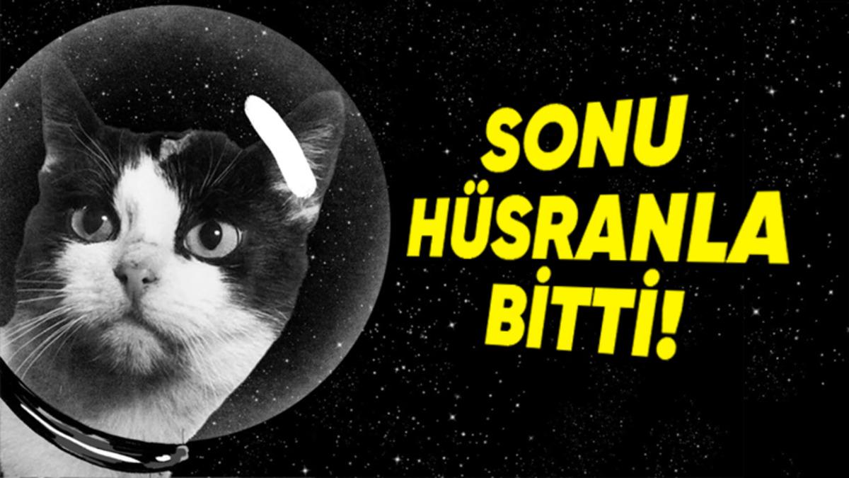 Fransız Bilim İnsanları Tarafından Uzaya Gönderilen İlk Kedi Félicette İle Tanışın: Peki Başına Neler Geldi?