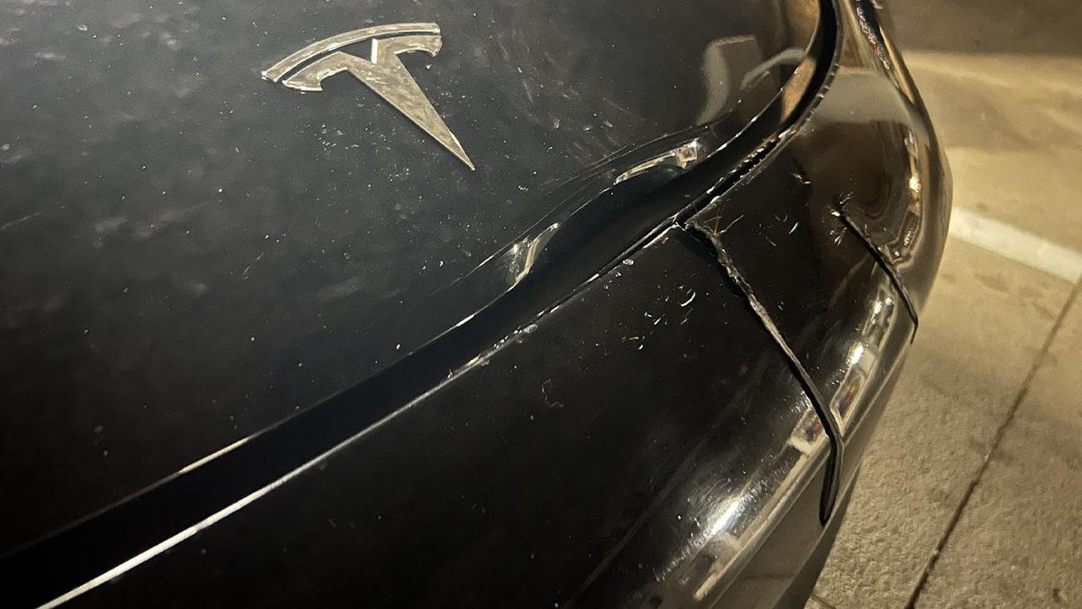 Tesla’nın Otonom Sürüş Sistemi, Yolda Duran Koca Geyiği Göremedi [Video]