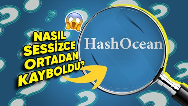 Büyük Kazançlar Vadeden HashOcean, Nasıl Sessizce Kayıplara Karışarak Birçok Kişinin Yatırımlarını Kaybetmesine Sebep Oldu?