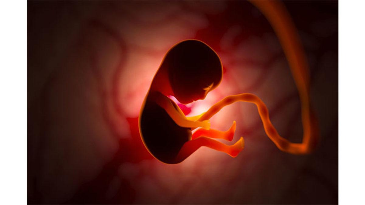 Tek Kaynağı Genetik Değilmiş: Daha Anne Karnındayken Yüz Şeklimizi Etkileyen Şeyi Öğrenince Biraz Şaşırabilirsiniz