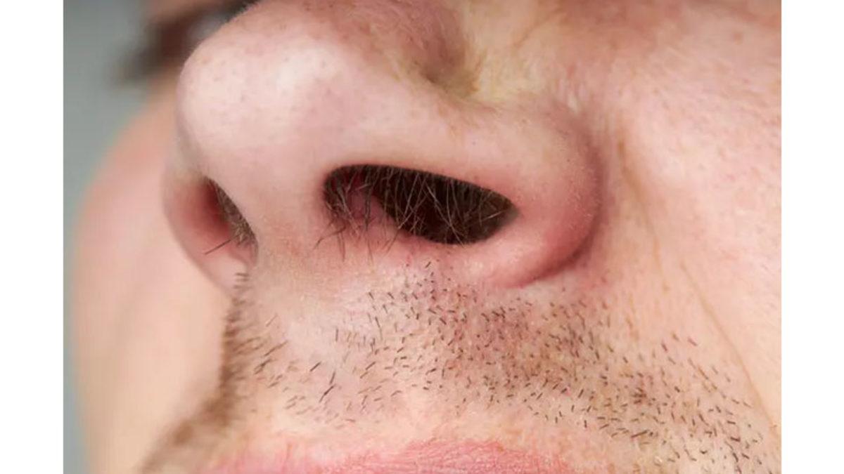Çocukken Varlığı Belli Bile Olmayan Burun Kılları Yaşlandıkça Neden Çoğalmaya Başlıyor?