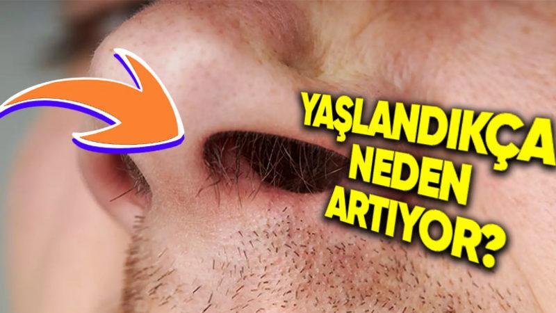 Çocukken Varlığı Belli Bile Olmayan Burun Kılları Yaşlandıkça Neden Çoğalmaya Başlıyor?