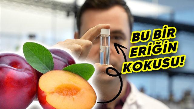 Bilim İnsanları, Yapay Zekâyı Kullanarak Kokuyu "Işınlamayı" Başardı: Peki Bu Nasıl Mümkün Oldu?