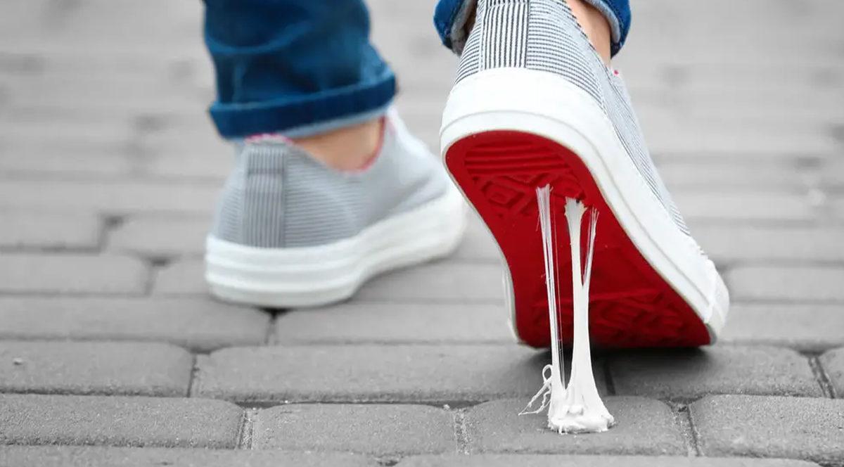 Sakızların Gizlice Nasıl Gezegenimizi Yok Ettiğini Öğrendikten Sonra Çiğnerken Bir Daha Düşüneceksiniz!