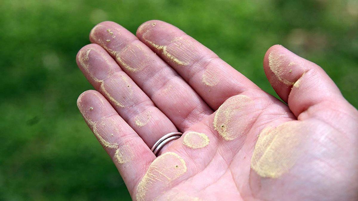 Termometre Olmamasına Rağmen Binlerce Yıl Önceki Sıcaklıklar Nasıl Tahmin Edilebiliyor?