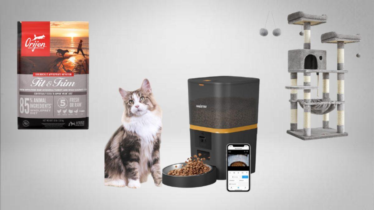 Amazon Gülümseten Kasım Fırsatları’nda Son Gün! İşte Her Kategorinin En İyi İndirimleri