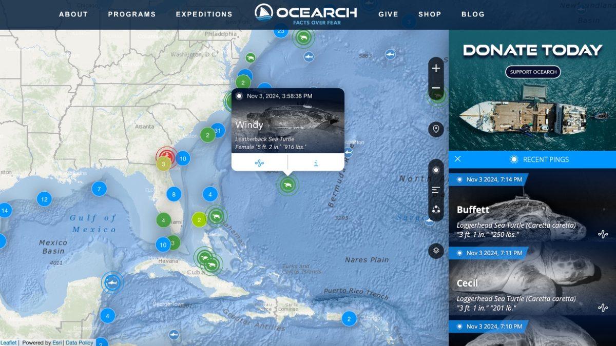 Can Sıkıntınızı Söküp Atacak: Mutlaka Keşfetmeniz Gereken 5 İnternet Sitesi