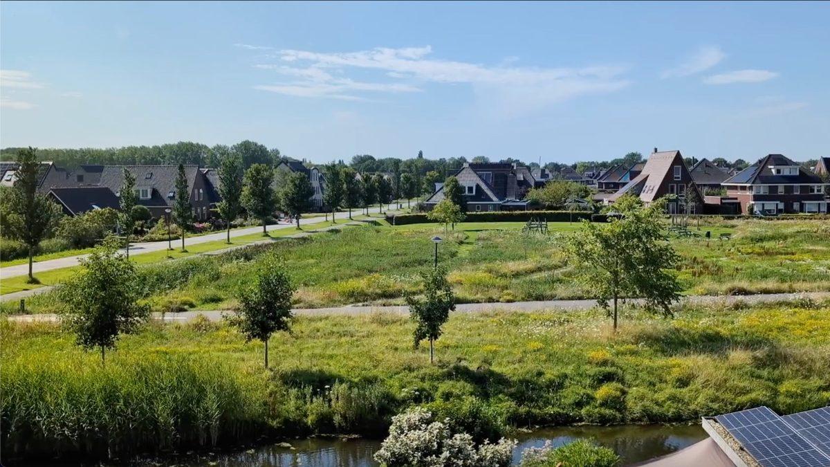 Can Sıkıntınızı Söküp Atacak: Mutlaka Keşfetmeniz Gereken 5 İnternet Sitesi