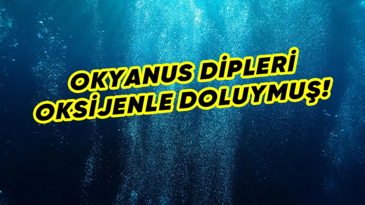 Okyanus Diplerinde "Karanlık Oksijen" Tespit Edildi: Peki Bu Ne Demek?