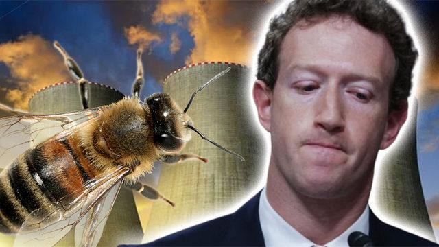 Meta’nın Nükleer Enerji Yatırım Planlarına Arılar Engel Oldu