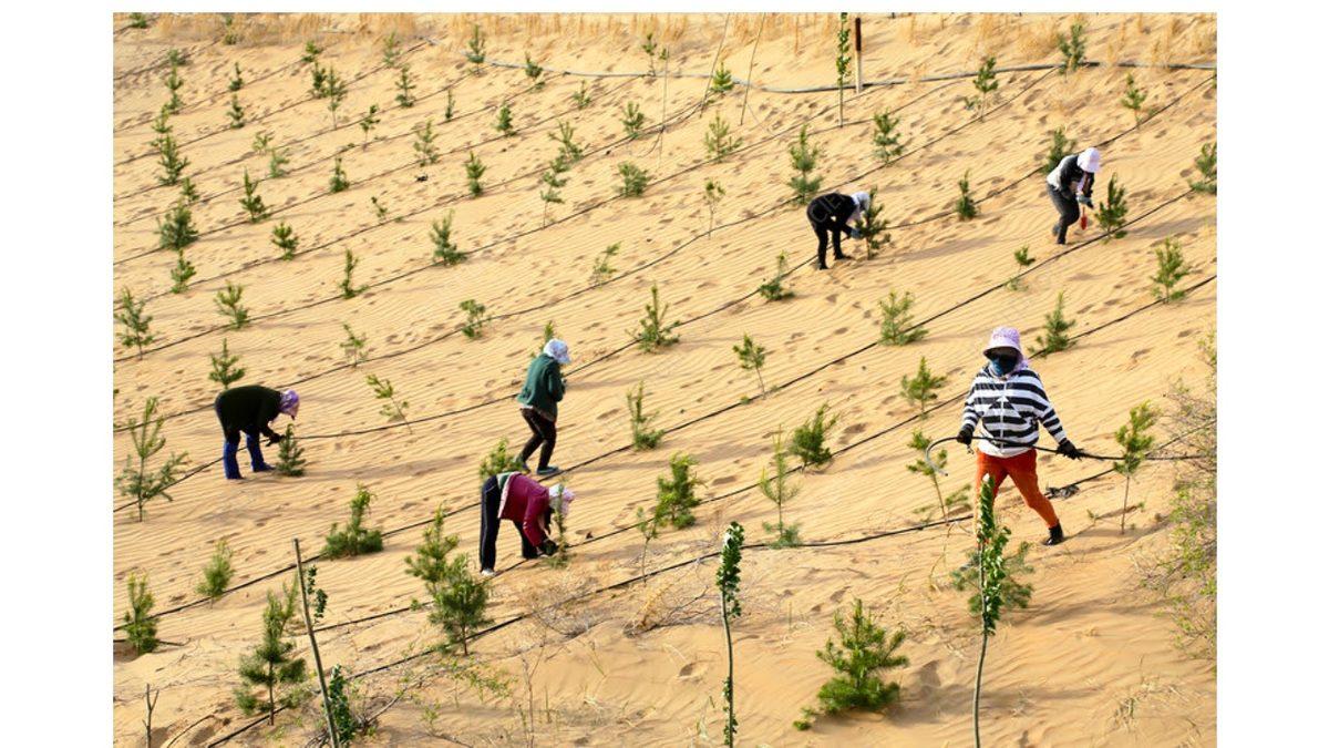 Çöllere Neden Asfalt Deler Gibi Delikler Açılıyor? Su Kuyusu İçin Değil!